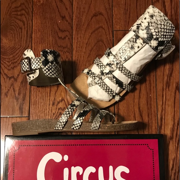 Brand new Sam Edelman Birkenstock style sandal - Picture 6 of 6